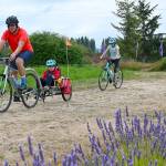 From left, Greg Roe and family  children Andrew, 5, and Charlotee, 11, with wife Bridget McKay  enjoy the Tour de Lavender Fun Ride on Saturday. The group was enjoying a day trip from the Lake Stevens area. Sequim Gazette photo by Michael Dashiell