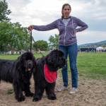 Lanelle and her Newfoundlands Ivy and Brix traveled from near Puyallup to attend the Hurricane Ridge Kennel Club Dog Show in Sequim on July 31. Sequim Gazette photo by Emily Matthiessen
