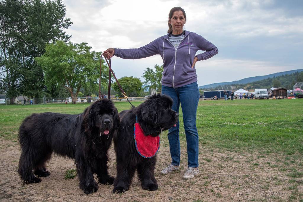 Lanelle and her Newfoundlands Ivy and Brix traveled from near Puyallup to attend the Hurricane Ridge Kennel Club Dog Show in Sequim on July 31. Sequim Gazette photo by Emily Matthiessen