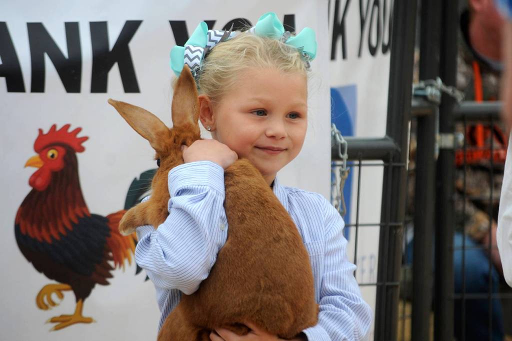 Meriah Bisson participates in the Clallam County Junior Livestock Auction for the first time last Saturday selling her rabbit. Sequim Gazette photos by Matthew Nash