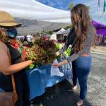 Parker of River Run Farm helps a market guest pack up a head of fresh lettuce. Photo by Emma Jane EJ Garcia