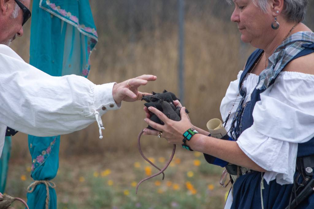 Courteney Graff hands Katherine Graff rubber rats to toss into holes at the Renaissance Faire in the parking lot of Sequim Theatre Arts on Aug. 22. If they were real, "they wouldn't bounce as much, just go splat," said Courteney.  Sequim Gazette photo by Emily Matthiessen