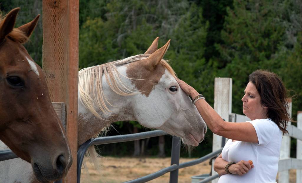 Martha Vaughan strokes Cali, who came from a kill pen at Fox-Bell Events in Port Angeles. Sequim Gazette photo by Emily Matthiessen