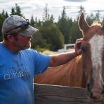 Brian Pace, Fox-Bells contractor, strokes Stanley, rescued from the kill pen at Fox-Bell Events, Port Angeles. Sequim Gazette photo by Emily Matthiessen