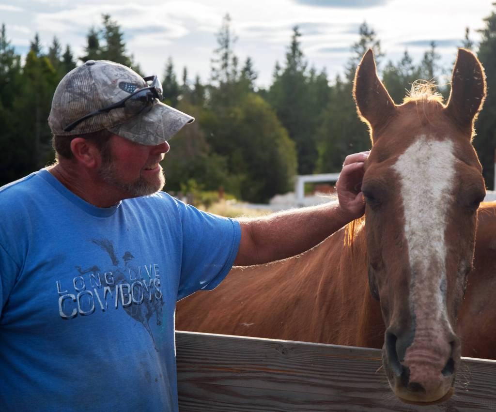 Brian Pace, Fox-Bells contractor, strokes Stanley, rescued from the kill pen at Fox-Bell Events, Port Angeles. Sequim Gazette photo by Emily Matthiessen