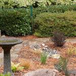 Rain gardens are planted depressions where water from roofs, driveways, lawns and other surfaces is directed. Soil and plants in the rain garden filter contaminants from the runoff water, allow it to soak into the soil rather than flow into a storm drain or waterway. Photo courtesy of Susan Kalmar