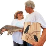 Processed with VSCO with l7 preset