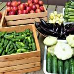 Check out fresh fruits and vegetables at the Sea Basket Farm booth. Photo courtesy of Greg Gundy/Sea Basket Farm
