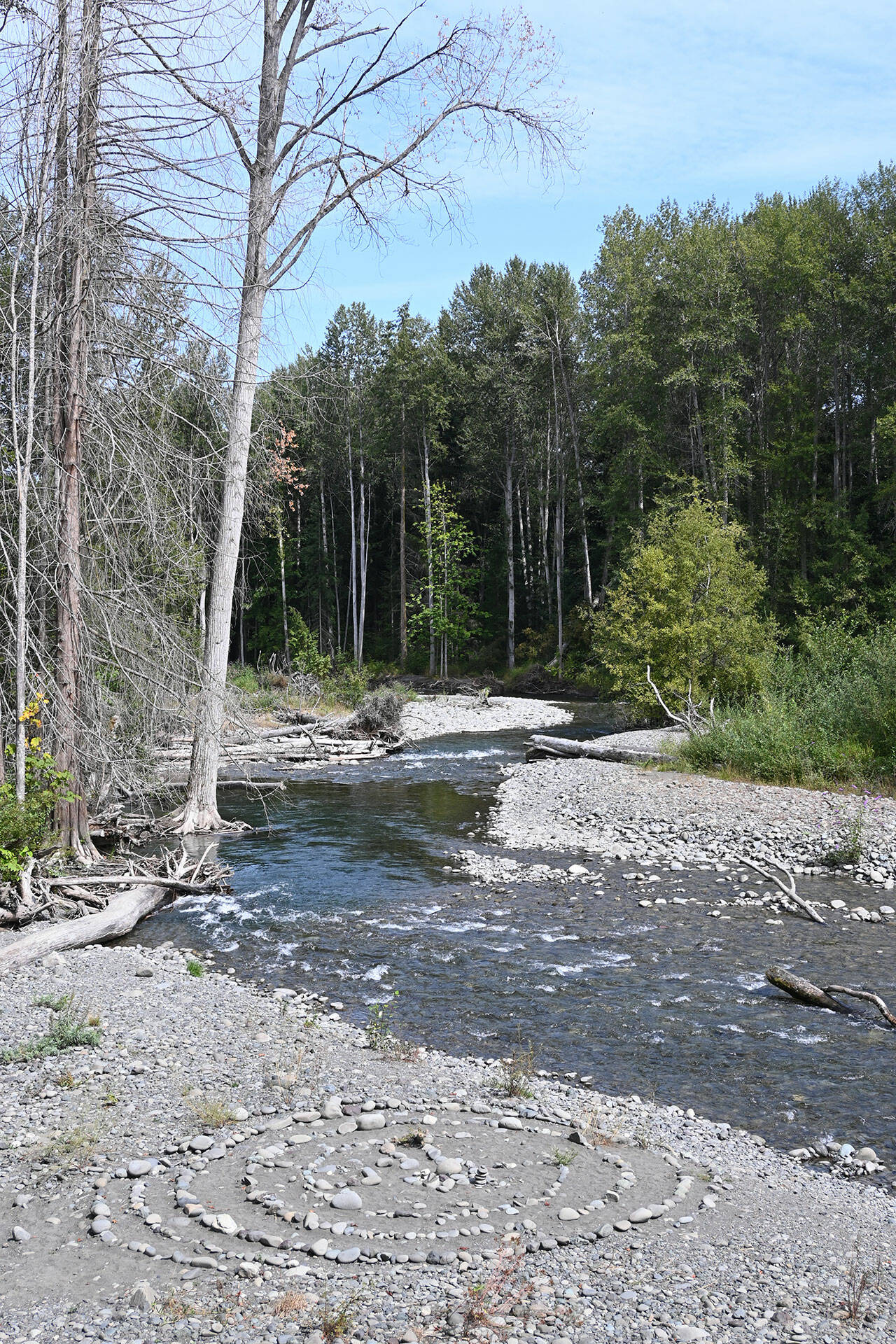 The Dungeness River in late August. Sequim Gazette photo by Michael Dashiell