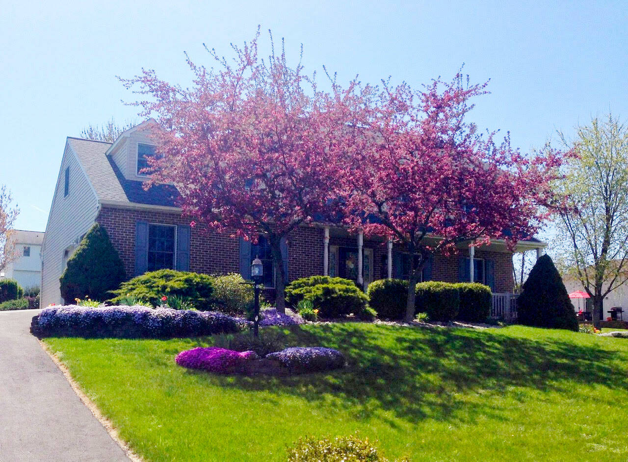 Fall is a great time to plant trees to help cool down your summer. Photo by Susan Kalmar