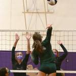 Sequim Gazette photo by Michael Dashiell