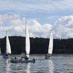 Sailboats gather near the starting line of the 2021 Reach for Hospice race on Sequim Bay on Sept. 18. Sequim Gazette photo by Michael Dashiell