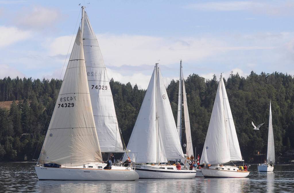 Sailboats gather near the starting line of the 2021 Reach for Hospice race on Sequim Bay on Sept. 18. Sequim Gazette photo by Michael Dashiell