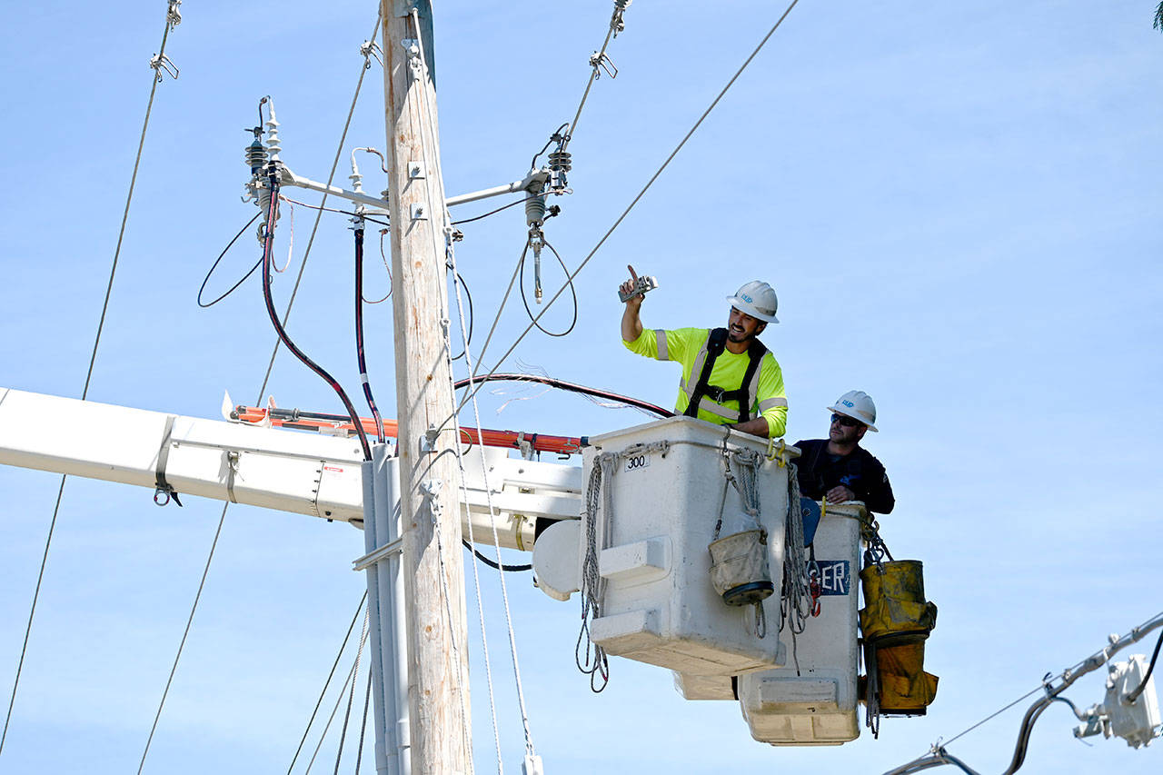 Workers from Clallam County PUD in August work on a project to bury power lines on Kirner Road. The effort, completed in September, will allow seasonal resident trumpeter swans to safely take off from nearby Kirner Pond. Sequim Gazette photo by Michael Dashiell