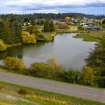 A recent aerial photo shows a clear, power line-free path for trumpeter swans at Kirner Pond. Photo by John Gussman