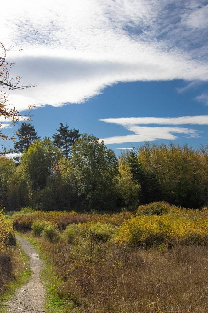A path at the wildlife refuge on Voice of America Road in Sequim, one of the Ake familys favorite places to go in Sequim. Sequim Gazette photo by Emily Matthiessen