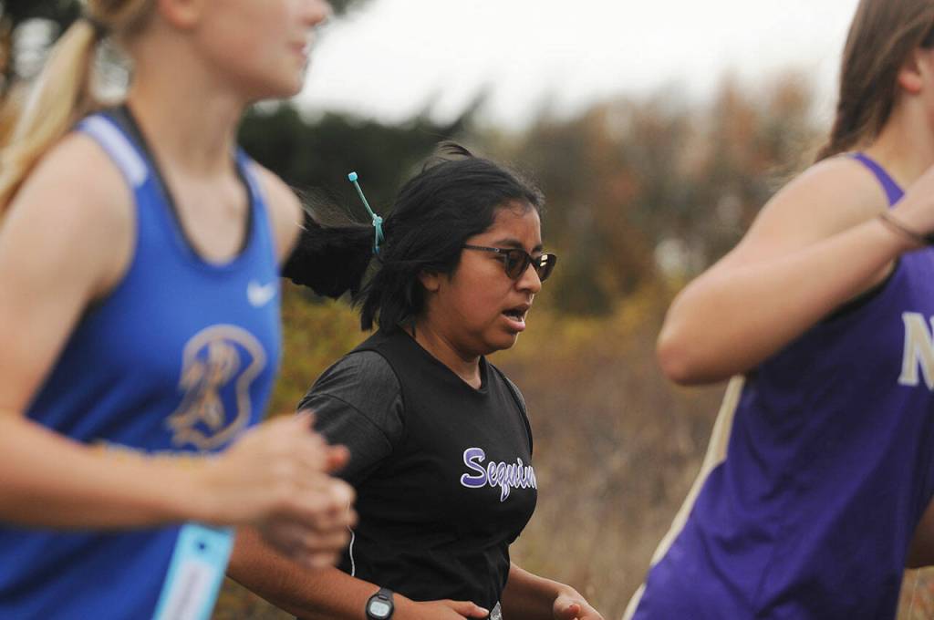 Sequim Gazette photo by Michael Dashiell