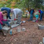 Volunteers work to improve the memorial corner created by Sequim Prairie Garden Club members in the 1960s at Pioneer Memorial Park. The history of the club and the park are intertwined, and from the beginning the club has cared for this 4 acre former cemetery with the aid of community members, turning it into the lush park off Washington Street that all residents and visitors can enjoy. The headstones in the memorial corner were fenced in the early 1980s due to vandalism that occurred through the years. Current members of the club requested that anyone in the community who may have a piece of one of the stones to please return it. Sequim Gazette photo by Emily Matthiessen