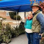 David Allen and business partner Christina offer a variety of native plants at their Shore Road Nursery booth at the Sequim Farmers & Artisans Market. Photo by Emma Jane Garcia