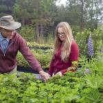 David Allen and business partner Christina oversee a variety of native plants at their Shore Road Nursery. Photo by Amy Nash/NODC