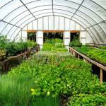 Photo by Amy Nash/NODC