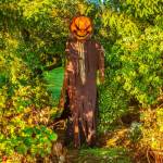 Contributor Bob Lampert spots a creepy local near Old Olympic and Kendall Roads last week.