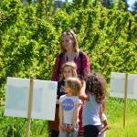 Attendees of a book walk at Finnriver check out signs installed over a mile-long walk. Photo courtesy of Katy Bowman