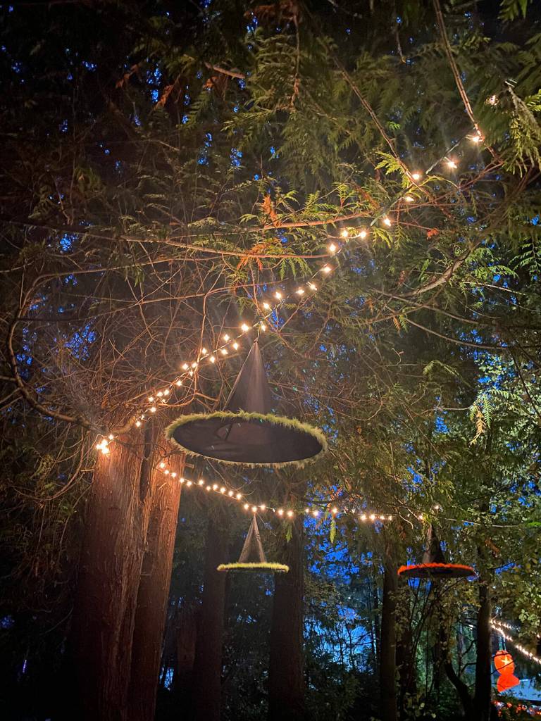 Photo courtesy of Port Angeles Fine Arts Center