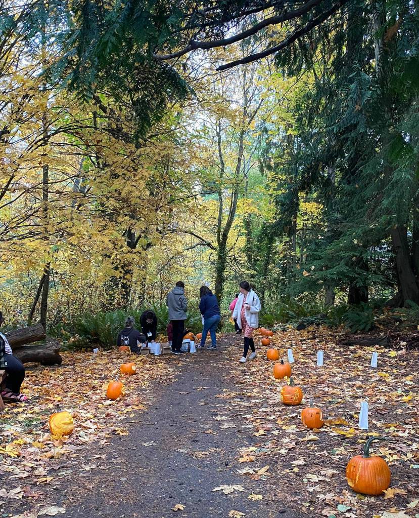 Photo courtesy of Port Angeles Fine Arts Center