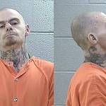 David Scott Johnson.