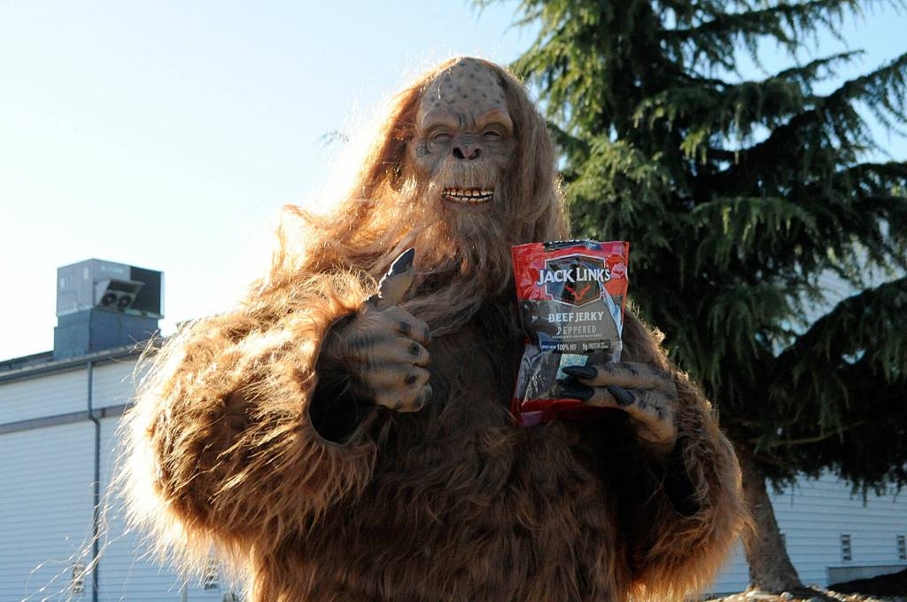 Stan Dame, a coach at YMCA of Sequim, directs traffic on Oct. 30 for the centers drive-through event while also showing off Jack Links Beef Jerky, as an homage to the Messin with Sasquatch ads. Dame said it took six months for his costume to arrive for Halloween.