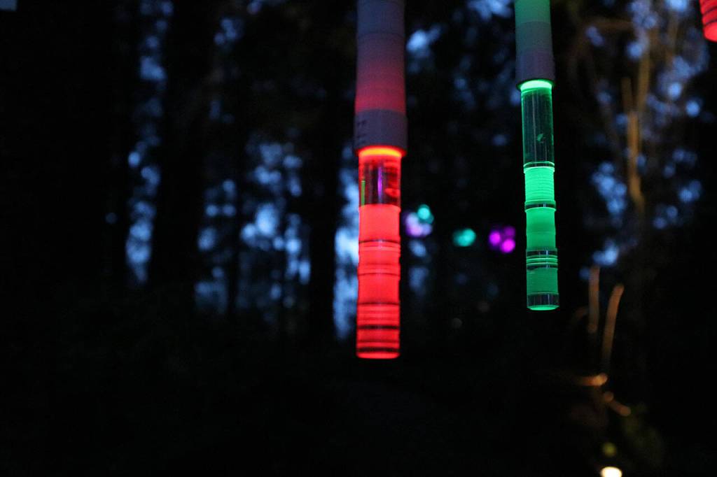 Visitors can also enjoy lighted art illuminating the forest paths at Webster's Woods this fall. Submitted photo