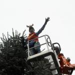 Captain-Crystal Stout waves from the top of Sequims 40-foot Christmas tree on Nov. 13. She said community members donated more than $1,500 to help cover the cost of purchasing the tree. Sequim Gazette photo by Matthew Nash