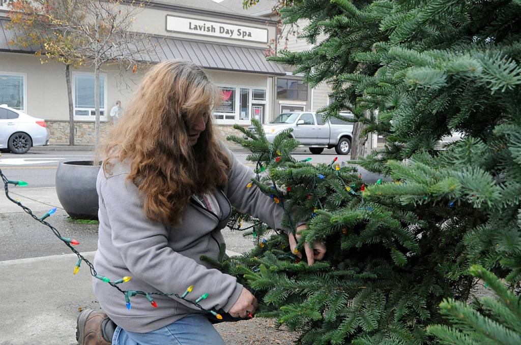 Paula Clark wraps lights around Sequims downtown Christmas tree. Shes helped fellow volunteer Captain-Crystal Stout for about seven years with decorating downtown, she said. Sequim Gazette photo by Matthew Nash