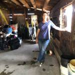 Volunteers added windows to the log cabin donated to the Sequim Prairie Garden Club and Pioneer Memorial Park in 1965.