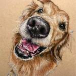 Gretchen Sotebeer, whose piece A Childhood Friend is shown here, joins other members of the Olympic Peninsula Art Association in hosting the groups Winter Members Art Show & Sale Fundraiser during the First Friday Art Walk on Dec. 3 at Sequim Museum & Arts. Submitted art