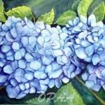 Blue Hydrangeas by Allyne Lawson, a member of the Olympic Peninsula Art Association. The group hosts its Winter Members Art Show & Sale Fundraiser during the First Friday Art Walk on Dec. 3 at Sequim Museum & Arts. Submitted art