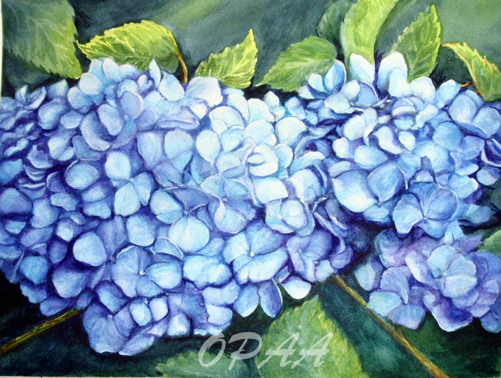 Blue Hydrangeas by Allyne Lawson, a member of the Olympic Peninsula Art Association. The group hosts its Winter Members Art Show & Sale Fundraiser during the First Friday Art Walk on Dec. 3 at Sequim Museum & Arts. Submitted art