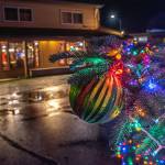 Ornaments and colorful holiday lights adorn the Sequim downtown Christmas/holiday tree. 
Sequim Gazette photos by Emily Matthiessen