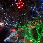Bright holiday lights color a Sequim tree downtown.