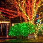 Bright holiday lights color the park at the southeast corner of the Sequim Avenue/Washington Street intersection.