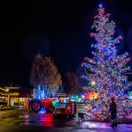 Sequims Christmas/holiday tree lights up Centennial Place last week.