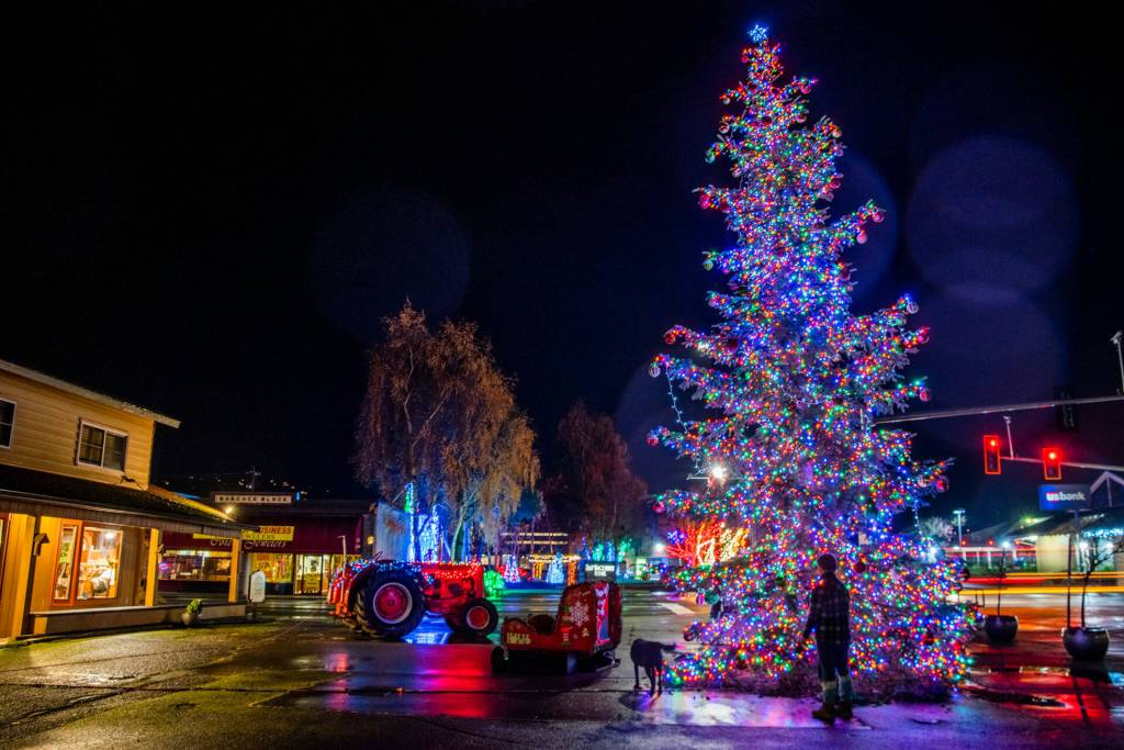Sequims Christmas/holiday tree lights up Centennial Place last week.