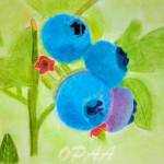 Blueberry Patch by Olympic Peninsula Art Association member Deborah Yound. Submitted art