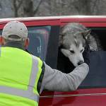 Above: Volunteer Steve Allen pets a friendly pup while directing traffic in Carrie Blake Community Park for Decembers Family Holiday Meal Bag program. Right: Dolores Wolfe with CERT directs traffic at the Family Holiday Meal Bag program on Dec. 17 in Carrie Blake Community Park. Wolfe said it was her first time volunteering with the group and her first time directing traffic. I love it, she said.