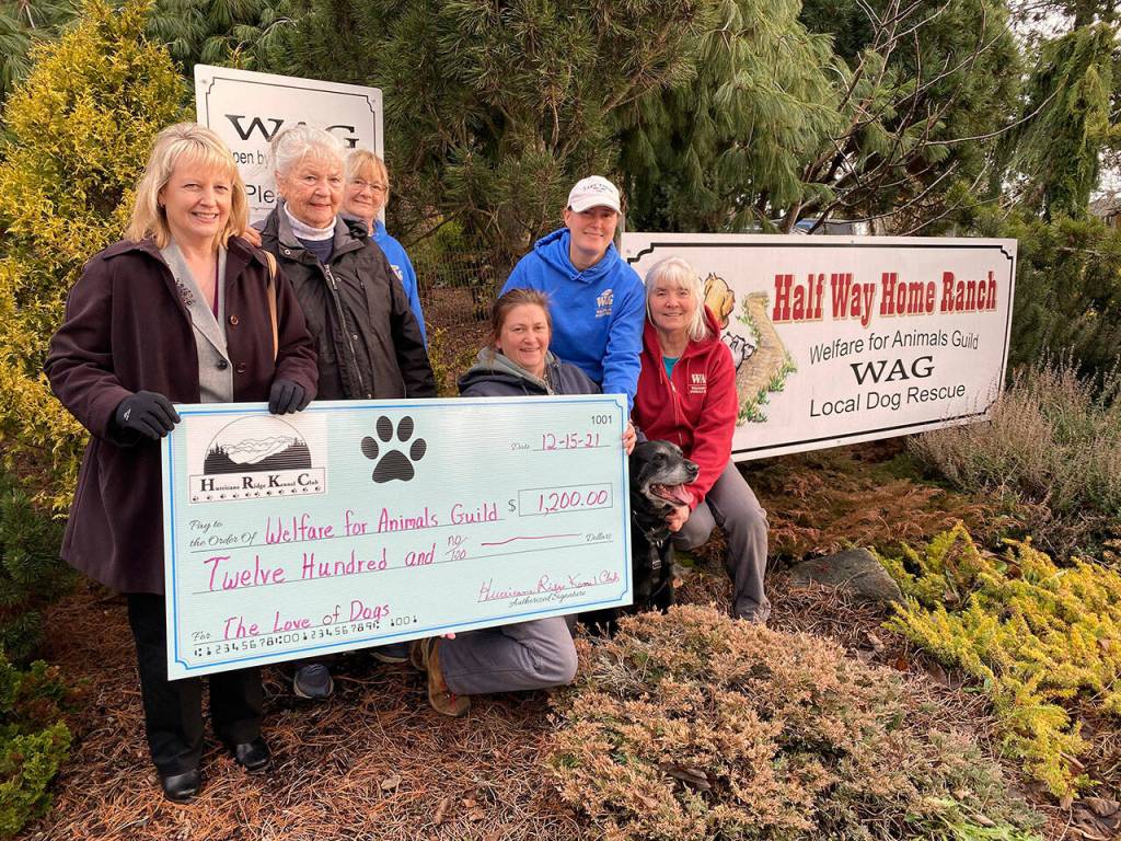 Pictured, from left, are: Lorraine Shore, Hurricane Ridge Kennel Club president; HRKC member Carolyn Money, with Mel Marshall and her Welfare for Animals Guild volunteers, along with their newest resident, Annie. Submitted photo