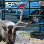 Sequim Gazette photo by Emily Matthiessen