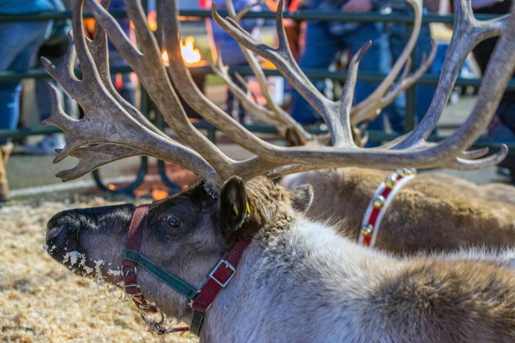 Sequim Gazette photo by Emily Matthiessen