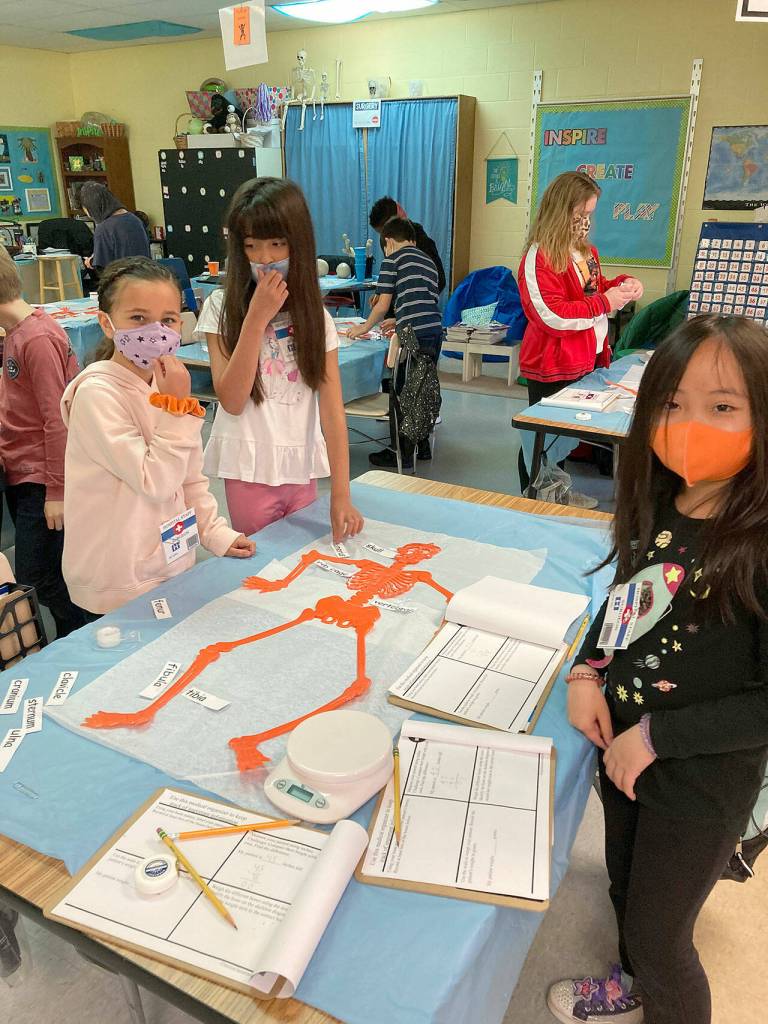 From left, Laina Bo, Camila Lopez and Anh-Thi Tran, third-graders in Emily Ellefsons class at Helen Haller Elementary, learn about the central nervous system and brain.