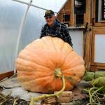 Sequim Gazette photo by Emily Matthiessen
Mark Valentine, as King Lear, portrays a scene at Olympic Theatre Arts Kings, Queens, & Royal Scenes, A Renaissance Faire on Aug. 22. Looking on are, from left, Matt Forest as the Squire to the Queen, Susan Cates as Goneril, Patricia MacArthur as Queen Elizabeth I and maid-in-waiting played by Merrin Packer.